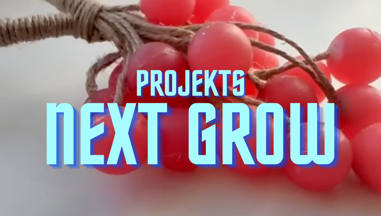 Projekts “Next Grow”