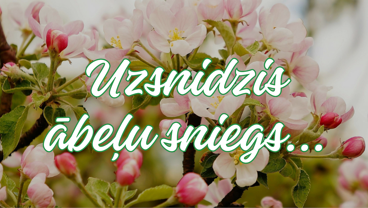 Uzsnidzis ābeļu sniegs