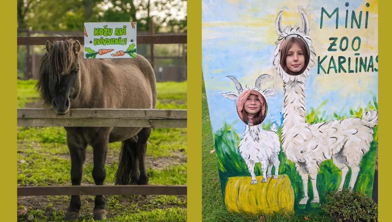 Ekskursija uz mini zoo Karlīnas